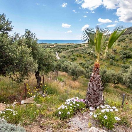 Laconian Collection # Gytheio Sea View Kostantinos Apartment# Selinitsa Eksteriør billede